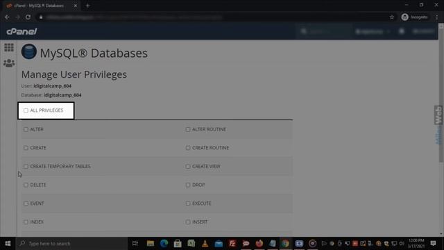 How to Grant all Privileges to a User in MySQL with cPanel? | MilesWeb смотреть онлайн