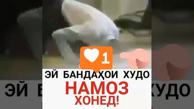 Ислам тв смотреть онлайн