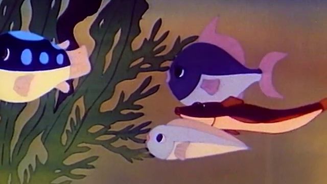 THE OCTOPUS | Great Book of Nature | Full Episode 41 | English смотреть онлайн