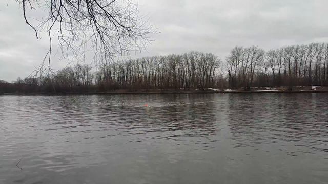 заплыв через Москва реку моржей столицы 30.03.2019 смотреть онлайн
