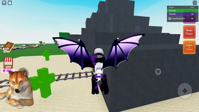 Jellyfish, Cactus Cat, Cave Bat, Lava Flower, Rare Blue Frog [2023] locations #wackywizards #roblox смотреть онлайн