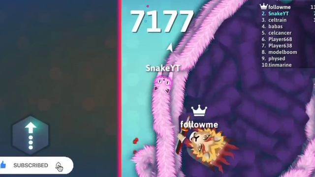 SNAKE. IO ? CIRCLED TOP 01 SNAKE OF THE MAP WITH 17,000 SCORE ? EPIC SNAKEIO GAMEPLAY