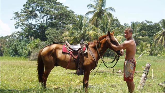 CHRIS WALTON смотреть онлайн