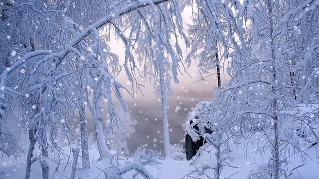 Футаж зима в лесу Потрясающе красивый зимний футаж HD смотреть онлайн