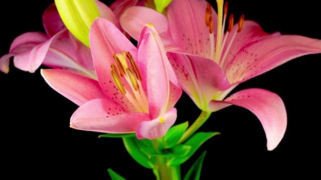 Романтическая расслабляющая музыка для саксофона-Лучшие популярные песни саксофона 2021- Saxophone смотреть онлайн