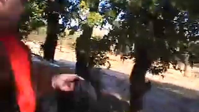 Драйверские вызовы