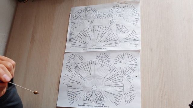 Быстрая работа по Л. Г. Пучко - Многомерная медицина - Итоги года работы