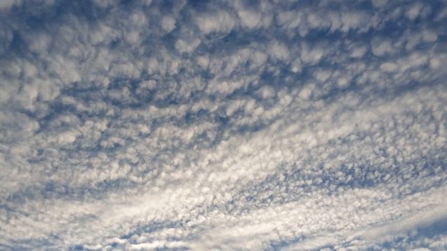 #shorts Утро. Июнь. Солнце. Пение птиц . Православный храм в поле . смотреть онлайн