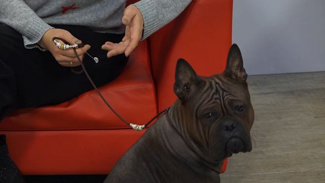 Рубрика "Живая среда" смотреть онлайн