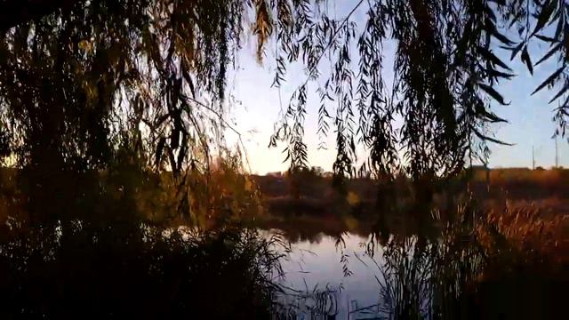 Озёра Огнивка Полтава 🏞 смотреть онлайн