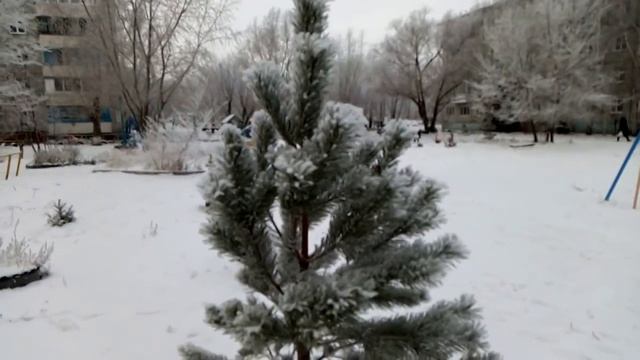 ИНЕЙ в декабре 04.12.2020 смотреть онлайн