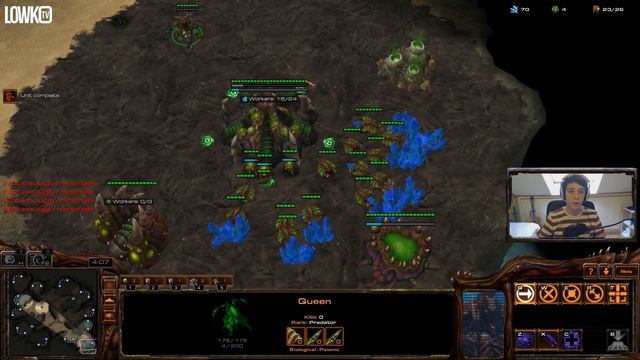 Zerg versus Zerg All In Build Order - Heart of the Swarm Build Order for StarCraft II смотреть онлайн