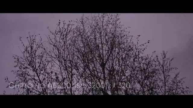 ОБЗОР SONY A6000 ЛУЧШАЯ КАМЕРА смотреть онлайн