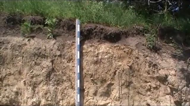 Геоморфологічна будова ґрунтів Шполянщини. смотреть онлайн