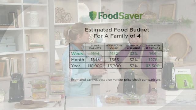 FoodSaver FreshSaver with Fresh Containers & Zipper Bags on QVC смотреть онлайн