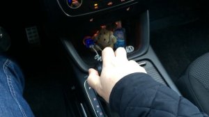 Парктроник глючит Киа Соренто