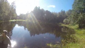 Ловим живца для рыбалки.