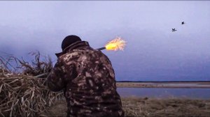 С полем! От охоты до охоты. Часть 2