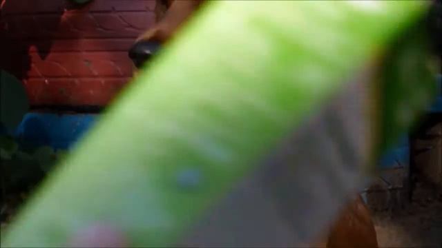 Руководство к Творчеству