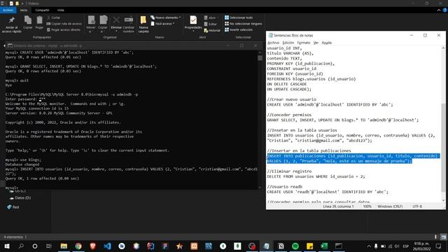 Pruebas y resultados de acceso a una base de datos MySQL смотреть онлайн