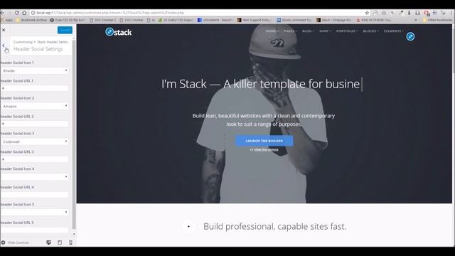 Stack WordPress Theme - Theme Options Overview смотреть онлайн