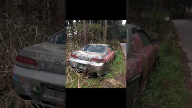 Фотографии на которые больно смотреть смотреть онлайн