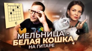 Мельница - Белая Кошка 🎸 кавер на гитаре аккорды табы
