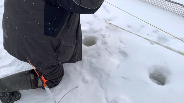 Хитрая Форель смотреть онлайн
