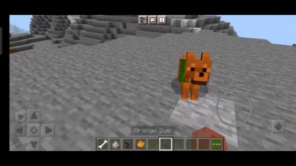 How To Use Name Tags in Minecraft |  Name tag in Minecraft