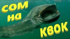 СОМ НА КВОК