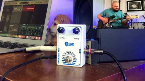 Dolamo D-1 Chubby Comp Pedal Compressor Electric Guitar Effect Pedal