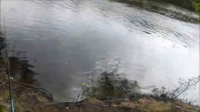Рыбалка на реке Воронеж, 08.05.2021 , Мотыль лучше червя смотреть онлайн