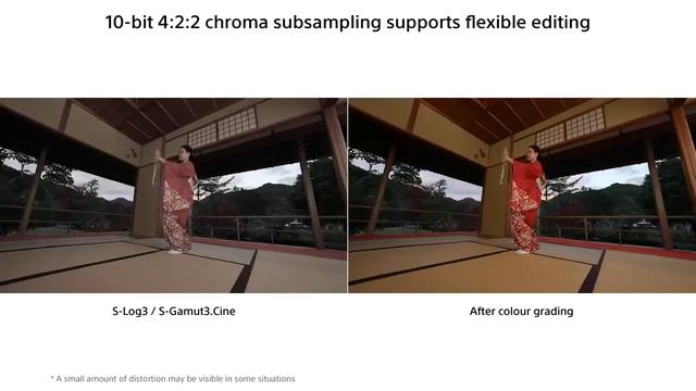 Sony Alpha 1 конкурент Canon EOS R5 смотреть онлайн