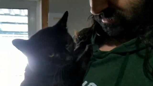 Бирюлёвский приют: Джордан Васильевич лезет на руки смотреть онлайн