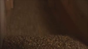 Ризван Хакимов  Сагат теле