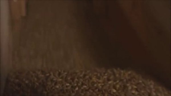 Ризван Хакимов  Сагат теле