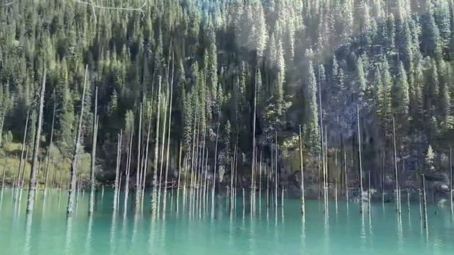 влог | живописные места Казахстана | кольсайские озера, каинды смотреть онлайн