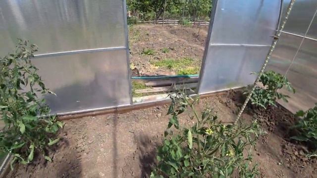 Огород на юге, уход за томатами. смотреть онлайн