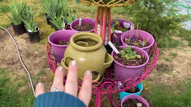 Plants I’ll be parting with and which ones I’ll be keeping. смотреть онлайн