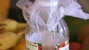 3 самых Надёжных Способа, Которые Помогут Избавиться от Мошек в Доме