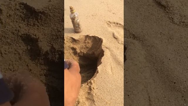 Как ловят крабов во Вьетнаме смотреть онлайн