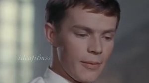 Дети Дон Кихота