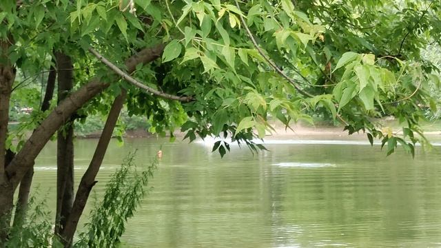 Катание на доске по воде смотреть онлайн