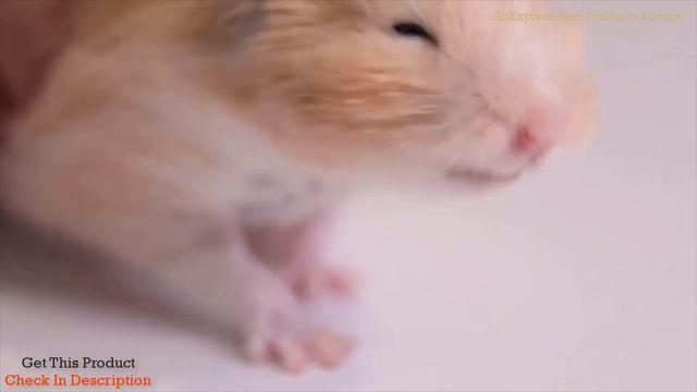 MIFA Metal Portable Bluetooth Speaker смотреть онлайн