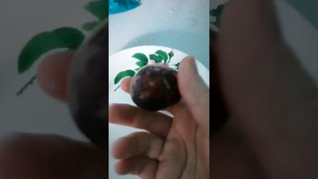 Сбор плодов инжира смотреть онлайн