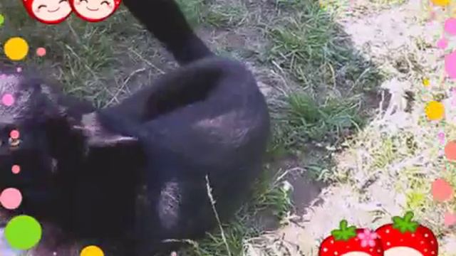 В том ооду снимала этот мини клип) смотреть онлайн