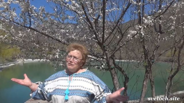 Семинар-ретрит «Очищение Души и Тела» смотреть онлайн