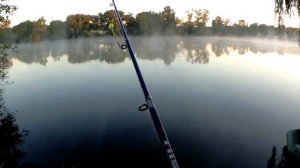 Ловля карпа (cазана) на кружки