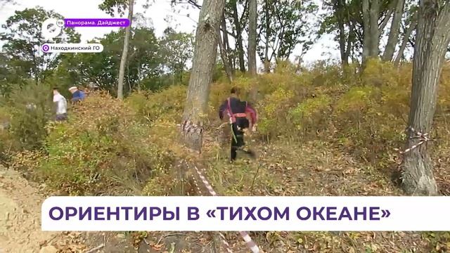 Соревнования по спортивному ориентированию прошли в Находке смотреть онлайн