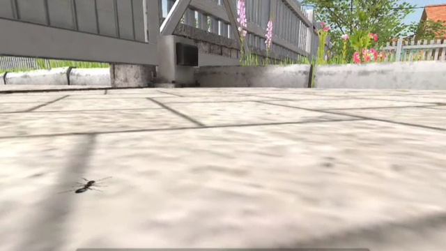 Глупый факт про Shoolboy